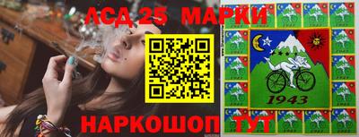 гашик Новодвинск