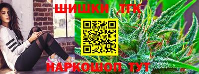 гашик Новодвинск