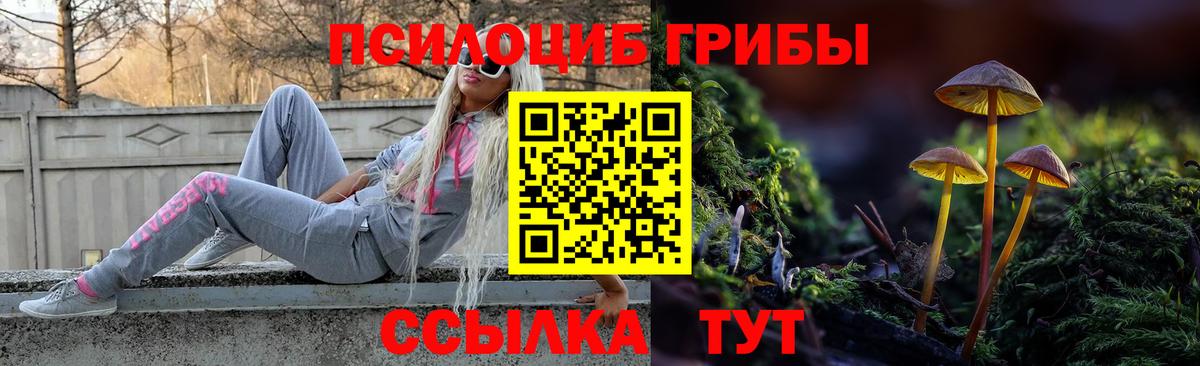 Галлюциногенные грибы Magic Shrooms Черкесск